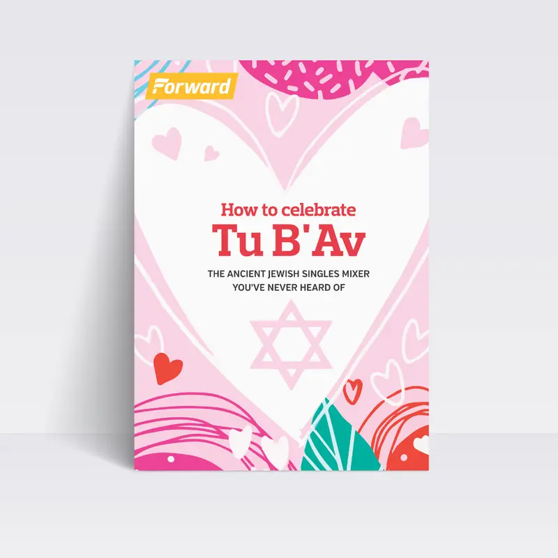 Tu B' Av eBook